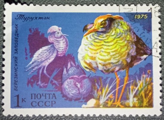 Марка СССР. Птицы. 1975