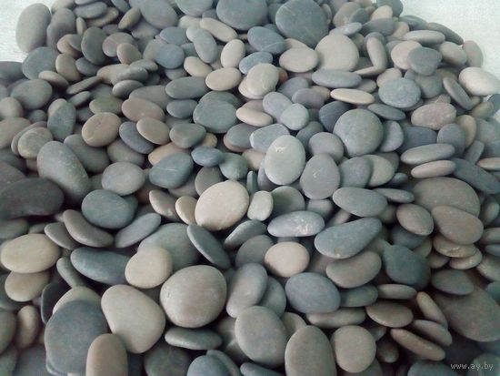 Галька морская 10 кг ТОРГ !