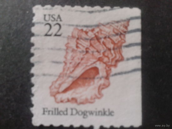 США 1985 стандарт, ракушка