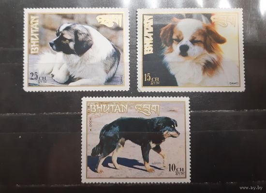 Бутан. Фауна. Собаки (781)