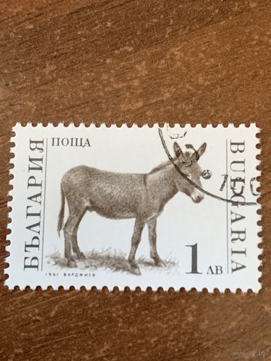 Болгария 1991. Домашний скот. Осел. Марка из серии