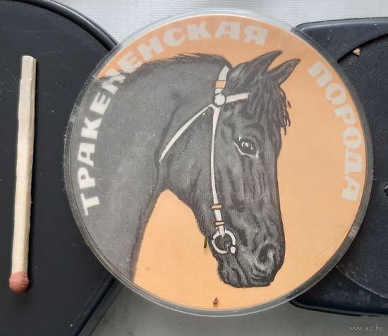 Тракененская порода. Бв-60