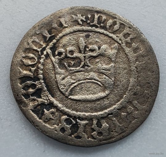 Полугрош Александра коронный