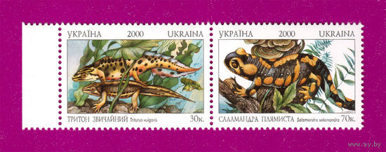 Украина 2000. Фауна сцепка Красная книга тритон-саламандра.**