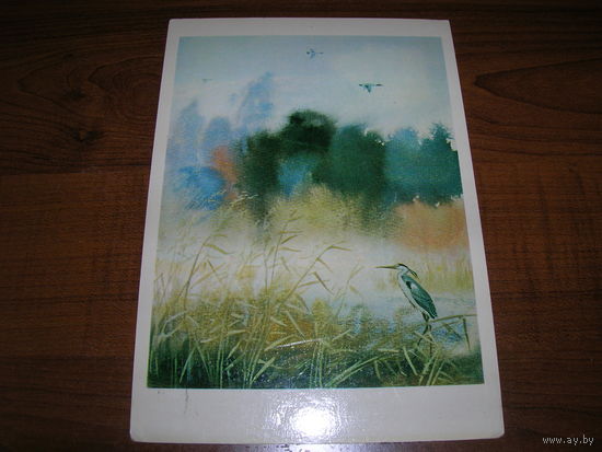 Белюкин Лес и степь По Тургеневу 1980 год чистая