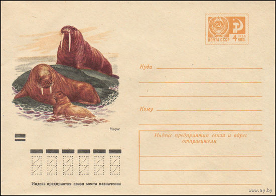 Художественный маркированный конверт СССР N 7368 (17.12.1970) Морж