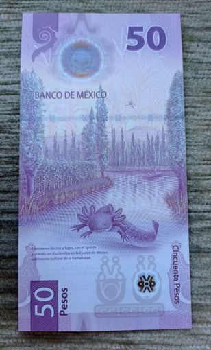 Werty71 Мексика 50 песо 2022 UNC банкнота