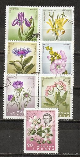 ФФ2 Венгрия 1968 Цветы гаш