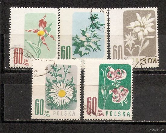 ФФ2 Польша 1957 Цветы гаш