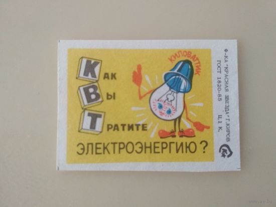 Спичечные этикетки  ф.Красная звезда. Как вы тратите электроэнергию? 1989 год