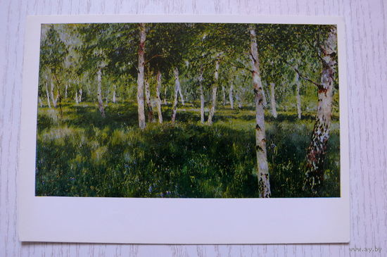 Левитан И., Березовая роща; 1976, чистая.