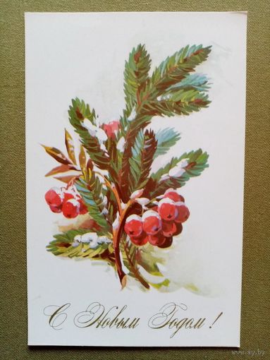 Куртенко 1977 С Новым годом! чистая рябина 9х14 см