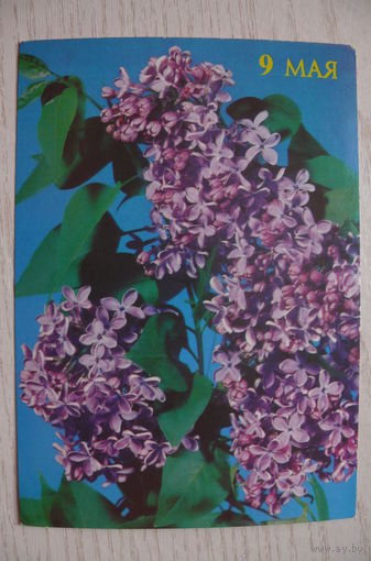 Круцко Б., 9 Мая; 1989, 1990, чистая.