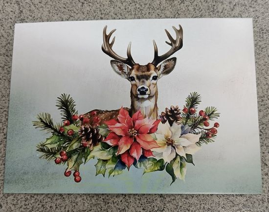 Открытка олень, остролист, шишки. Новый год. Чистая