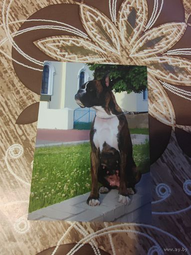 Календарик,реклама,2007