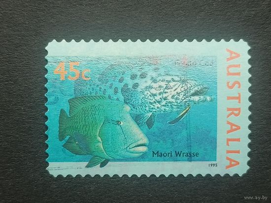 Австралия 1995. Жизнь моря. Картофельный окунь и Рыба-наполеон. Самоклейка