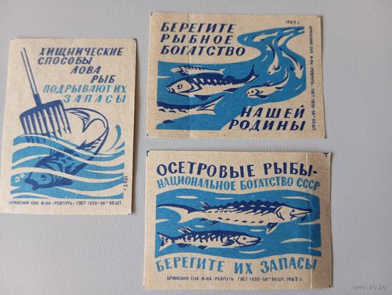 Спичечные этикетки ф.Ревпуть. Рыбоохрана. 1962 год