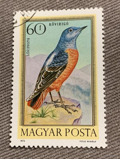 Венгрия 1973. Птицы. Kovirigo. Марка из серии