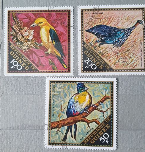 Гвинея птицы 3шт