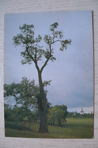 Селени К., Пасмурный день, 1986, чистая.