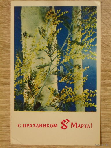 ПОДПИСАННАЯ ОТКРЫТКА СССР. "С ПРАЗДНИКОМ 8 МАРТА." ФОТО. И. КРОПИВНИЦКОГО. 1971 год.