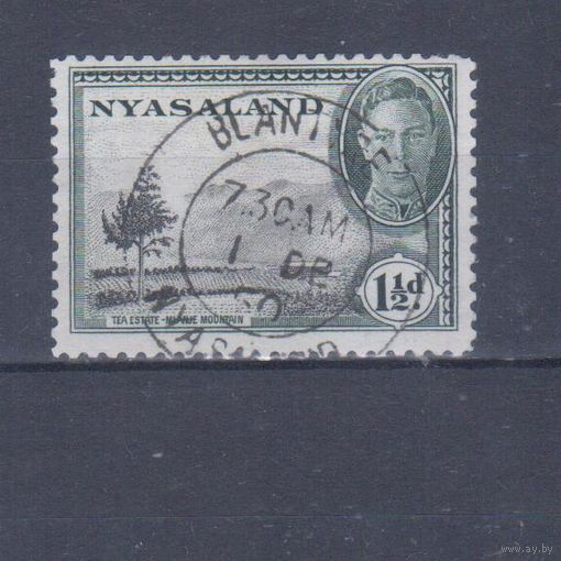 [2057] Британские колонии. Ньясаленд 1945. Георг VI.Ландшафт.1,5d. Гашеная марка.