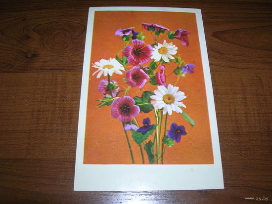 Цветы Поздравляю 1976 год СССР чистая