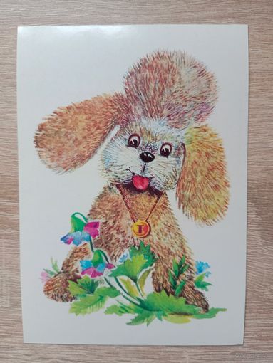 Манилова 1982 чистая