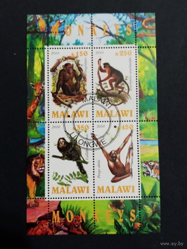 ЛИСТ ФАУНА животные  СТО