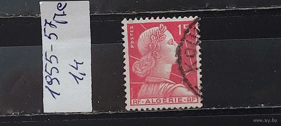 РАСПРОДАЖА АЛЖИР 1955г. Полная серия. Гаш.