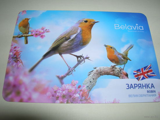 Календарик 2019 год Белавиа Птица Зарянка Великобритания