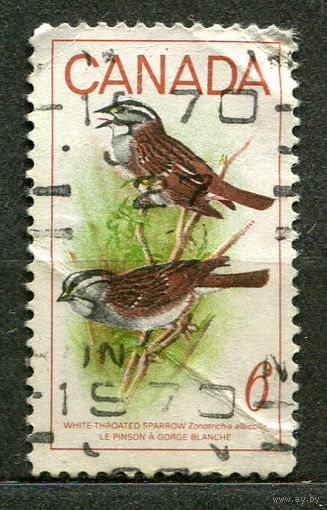 Фауна. Птицы. Воробьи. Канада. 1969