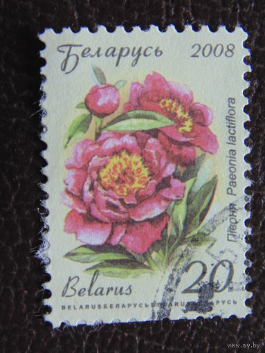 Беларусь 2008 г.