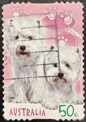 Австралия 2004. Породы собак