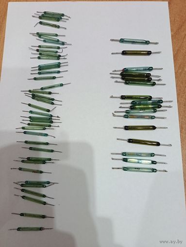 Герконы лотом