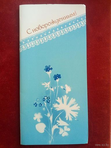 Кононова 1988 С Новорожденным! чистая двойная 21 см