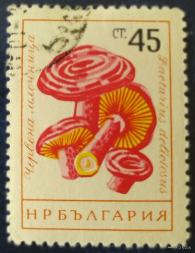 Болгария 1961 грибы
