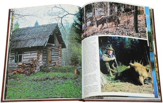 Составители Р.Дормидонтов,А.Рюмин. Тайга. Фотоальбом(СССР,Финляндия). Почтой не высылаю.