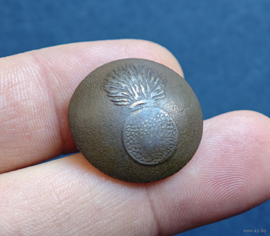 Набор пуговиц РИА, 3шт, 1830-1862