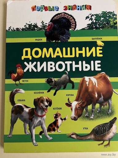 Домашние животные