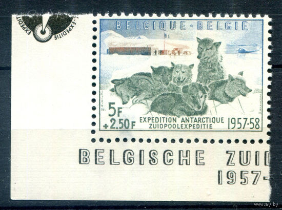 Бельгия - 1957г. - собаки, хаски, бельгийская южнополярная экспедиция - 1 марка - полная серия, MNH с повреждением клея и утончением [Mi 1073]. #2-Be-64-B-1