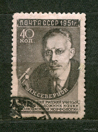 Ученый Северцов. 1951