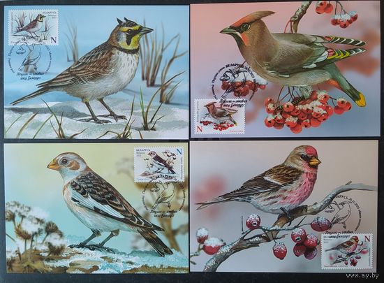 Беларусь 2023 КМ Птицы-зимние гости.