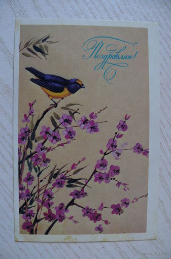 Охотина Н., Поздравляю! 1986, подписана.