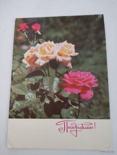 Почтовая карточка "Поздравляю!", 1979г.