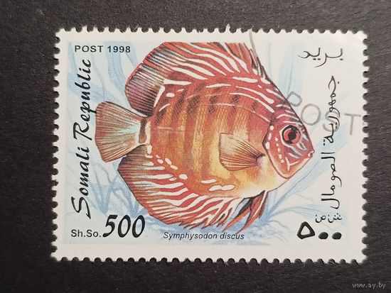 Сомали 1998. Рыбы