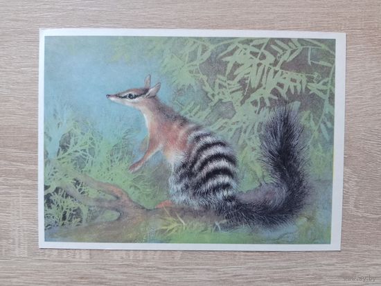 Исаков 1982,чистая