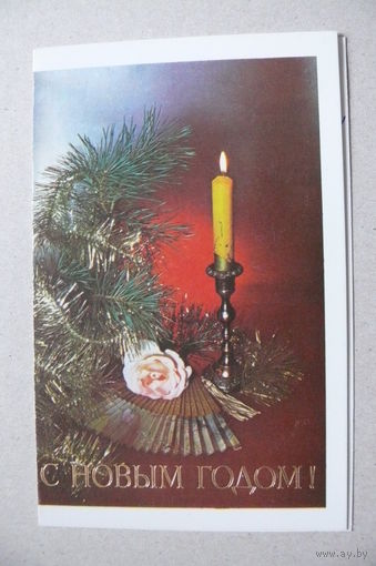 Зеленова В., Сапрыгина И., С Новым годом! 1989, двойная, подписана.