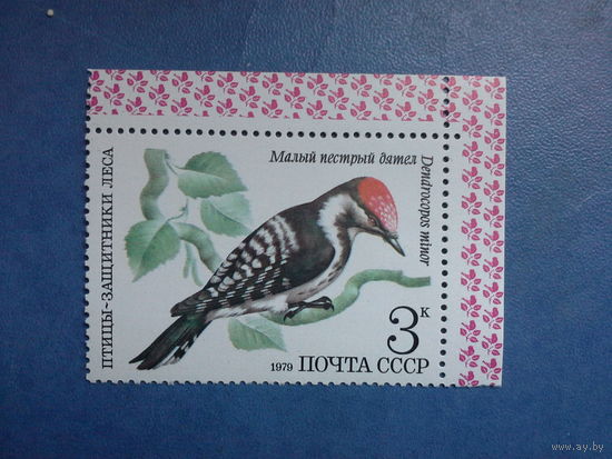 Ссср 1979.  Малый пёстрый дятел. будет не Угловая.