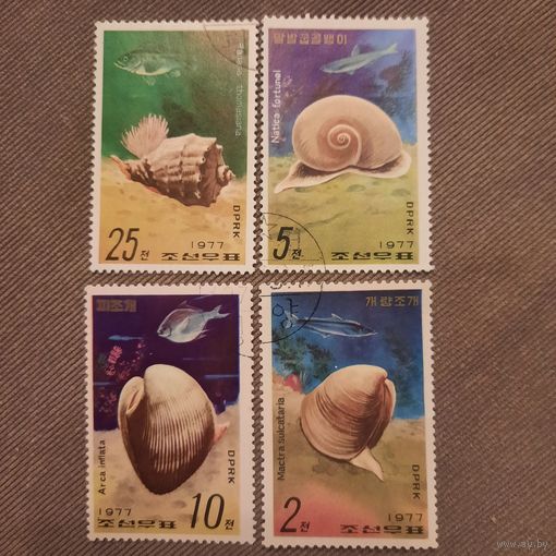 КНДР 1977. Фауна. Виды рыб. Морские раковины